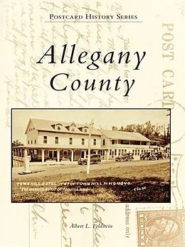 ePUB Allegany County von Albert L. Feldstein