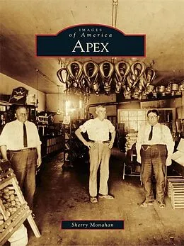 E-Book (epub) Apex von Sherry Monahan