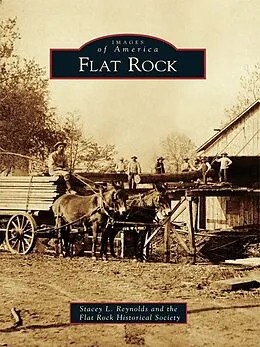 E-Book (epub) Flat Rock von Stacey Reynolds