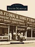 E-Book (epub) South Norfolk von Raymond L. Harper