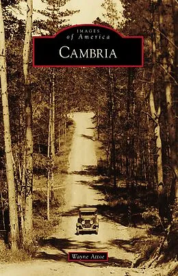 E-Book (epub) Cambria von Wayne Attoe