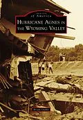 E-Book (epub) Hurricane Agnes in the Wyoming Valley von Bryan Glahn
