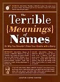 E-Book (epub) The Terrible Meanings of Names von Justin Cord Hayes