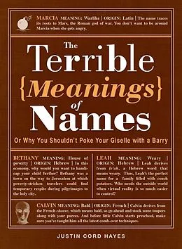 E-Book (epub) The Terrible Meanings of Names von Justin Cord Hayes