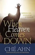 E-Book (epub) When Heaven Comes Down von Che Ahn