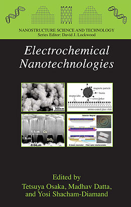 Fester Einband Electrochemical Nanotechnologies von 
