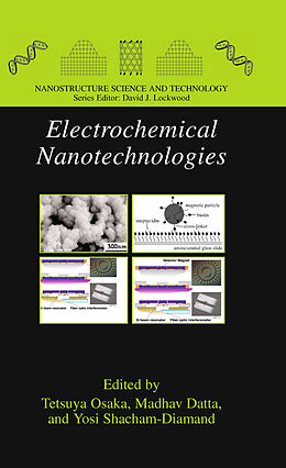 E-Book (pdf) Electrochemical Nanotechnologies von Tetsuya Osaka, Madhav Datta, Yosi Shacham-Diamand