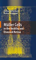 E-Book (pdf) Müller Cells in the Healthy and Diseased Retina von Andreas Reichenbach, Andreas Bringmann