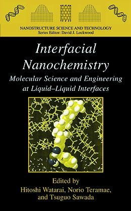 Kartonierter Einband Interfacial Nanochemistry von 
