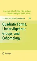 E-Book (pdf) Quadratic Forms, Linear Algebraic Groups, and Cohomology von Jean-Louis Colliot-Thélène, Skip Garibaldi, R. Sujatha