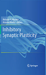 eBook (pdf) Inhibitory Synaptic Plasticity de Melanie A. Woodin, Arianna Maffei