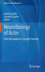 eBook (pdf) Neurobiology of Actin de Gianluca Gallo, Lorene M. Lanier