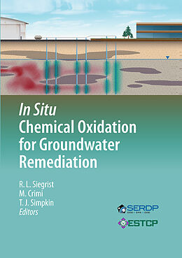 Fester Einband In Situ Chemical Oxidation for Groundwater Remediation von 