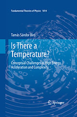E-Book (pdf) Is There a Temperature? von Tamás Sándor Biró