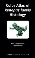 E-Book (pdf) Color Atlas of Xenopus laevis Histology von Allan F. Wiechmann, Celeste R. Wirsig-Wiechmann