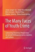 E-Book (pdf) The Many Faces of Youth Crime von Josine Junger-Tas, Ineke Haen Marshall, Dirk Enzmann