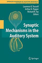 eBook (pdf) Synaptic Mechanisms in the Auditory System de Laurence O. Trussell, Arthur N. Popper, Richard R. Fay