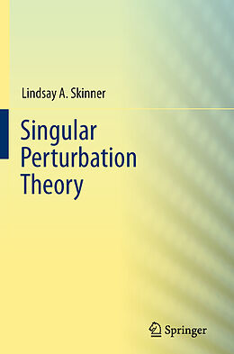 Couverture cartonnée Singular Perturbation Theory de Lindsay A Skinner
