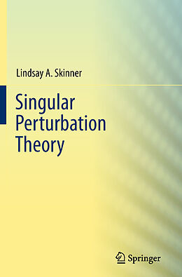 eBook (pdf) Singular Perturbation Theory de Lindsay A. Skinner