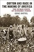 E-Book (epub) Cotton and Race in the Making of America von Gene Dattel