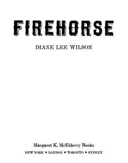 E-Book (epub) Firehorse von Diane Lee Wilson