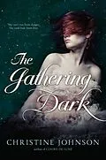 E-Book (epub) The Gathering Dark von Christine Johnson