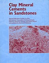 eBook (pdf) Clay Mineral Cements in Sandstones de 