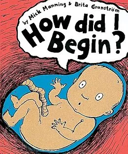 E-Book (epub) How Did I Begin? von Mick Manning