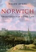 E-Book (epub) Norwich Archaeology of a Fine City von Brian Ayers