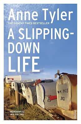 eBook (epub) A Slipping Down Life de Anne Tyler