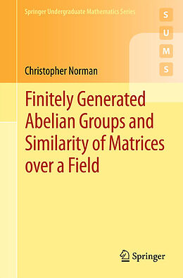 Kartonierter Einband Finitely Generated Abelian Groups and Similarity of Matrices over a Field von Christopher Norman