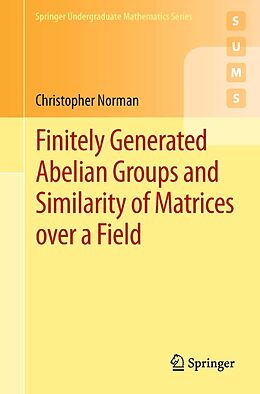 eBook (pdf) Finitely Generated Abelian Groups and Similarity of Matrices over a Field de Christopher Norman