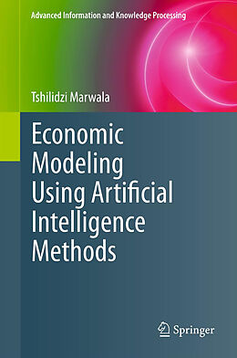 Fester Einband Economic Modeling Using Artificial Intelligence Methods von Tshilidzi Marwala