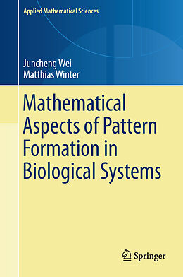 Fester Einband Mathematical Aspects of Pattern Formation in Biological Systems von Matthias Winter, Juncheng Wei