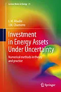 E-Book (pdf) Investment in Energy Assets Under Uncertainty von L. M. Abadie, J. M. Chamorro
