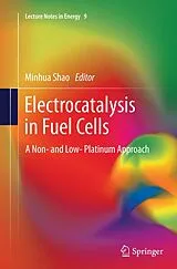 Kartonierter Einband Electrocatalysis in Fuel Cells von 