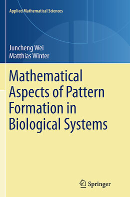 Kartonierter Einband Mathematical Aspects of Pattern Formation in Biological Systems von Matthias Winter, Juncheng Wei