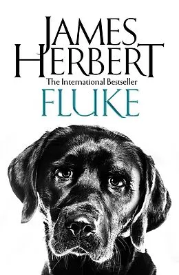 E-Book (epub) Fluke von James Herbert