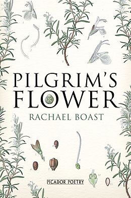 E-Book (epub) Pilgrim's Flower von Rachael Boast