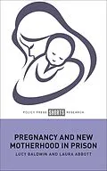 ePUB Pregnancy and New Motherhood in Prison von Lucy Baldwin, Laura Abbott