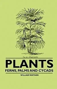 ePUB Plants - Ferns, Palms and Cycads von William Watson