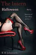 E-Book (epub) The Intern von S M Johansen