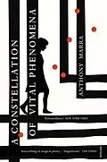 E-Book (epub) A Constellation of Vital Phenomena von Anthony Marra