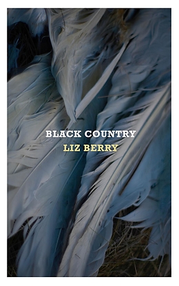 E-Book (epub) Black Country von Liz Berry