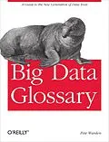 E-Book (epub) Big Data Glossary von Pete Warden