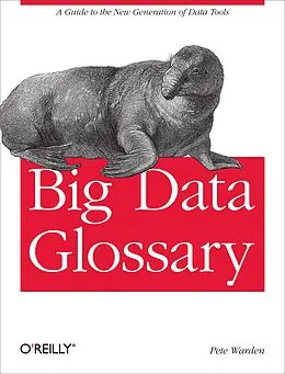 E-Book (pdf) Big Data Glossary von Pete Warden