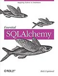 E-Book (pdf) Essential SQLAlchemy von Rick Copeland