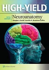 Kartonierter Einband High-Yield Neuroanatomy von Gould Douglas J., Jennifer K. Brueckner-Collins, Fix James D.