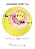 E-Book (epub) There's a Hole in My Sidewalk von Portia Nelson