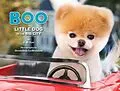 E-Book (epub) Boo: Little Dog in the Big City von J. H. Lee